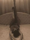 Prostitute Karina